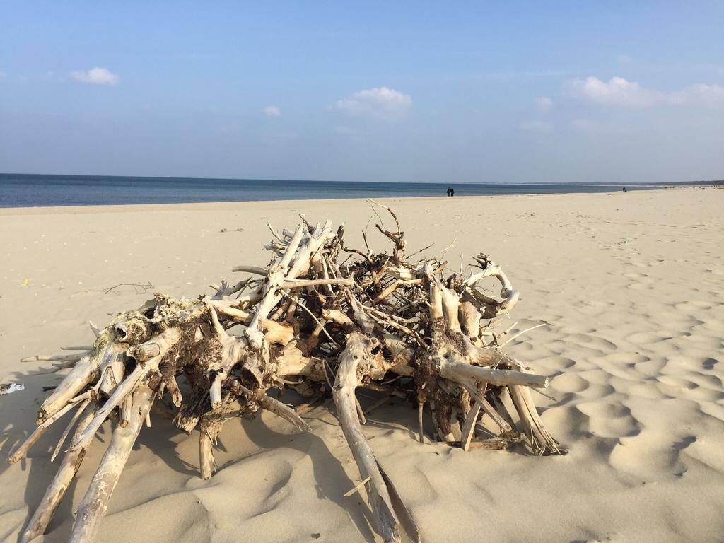 Bajkowa Plaża - Muszelka Gdańsk Zewnętrze zdjęcie