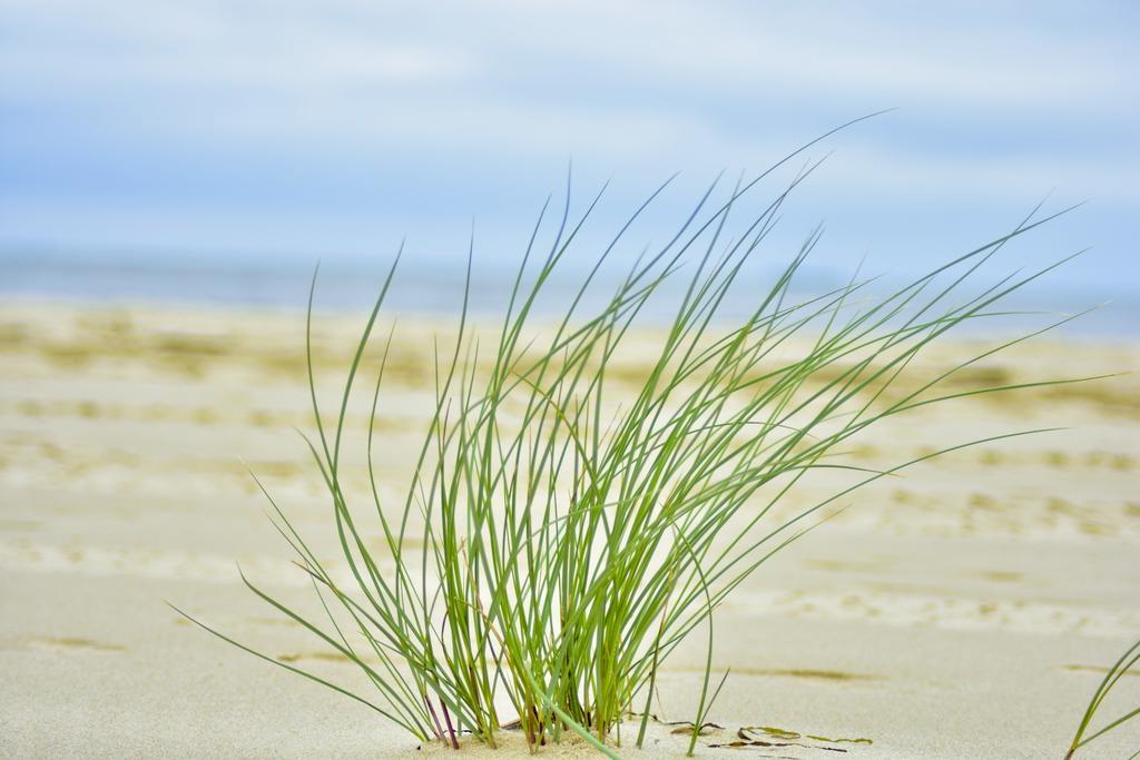 Bajkowa Plaża - Muszelka Gdańsk Zewnętrze zdjęcie
